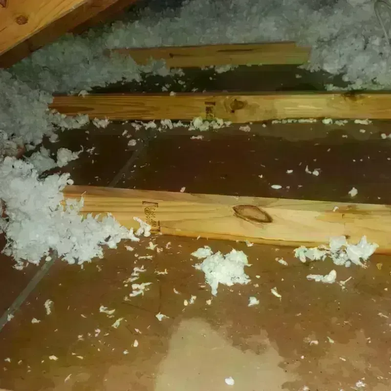 Attic Water Damage in Belfair, WA